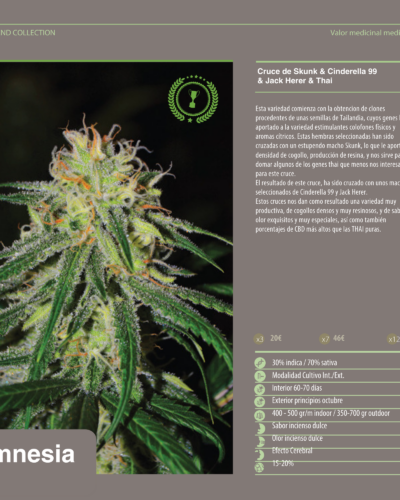 Amnesia Feminizada -World Of Seeds