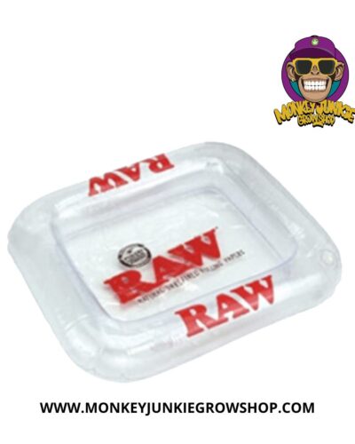 Bandeja Raw Inflable Grande