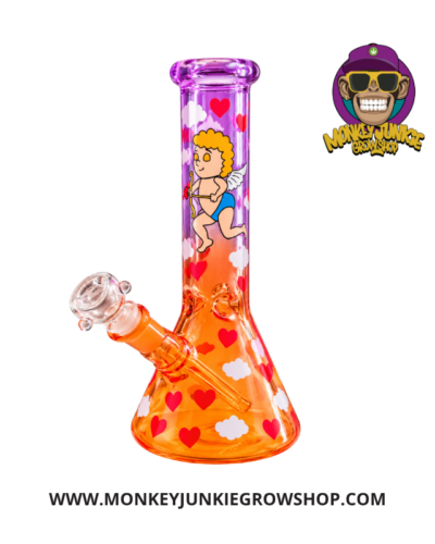 Bong San Valentin - 24cm