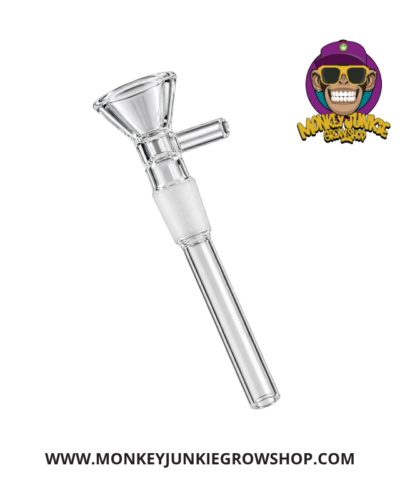 Downstem Completo
